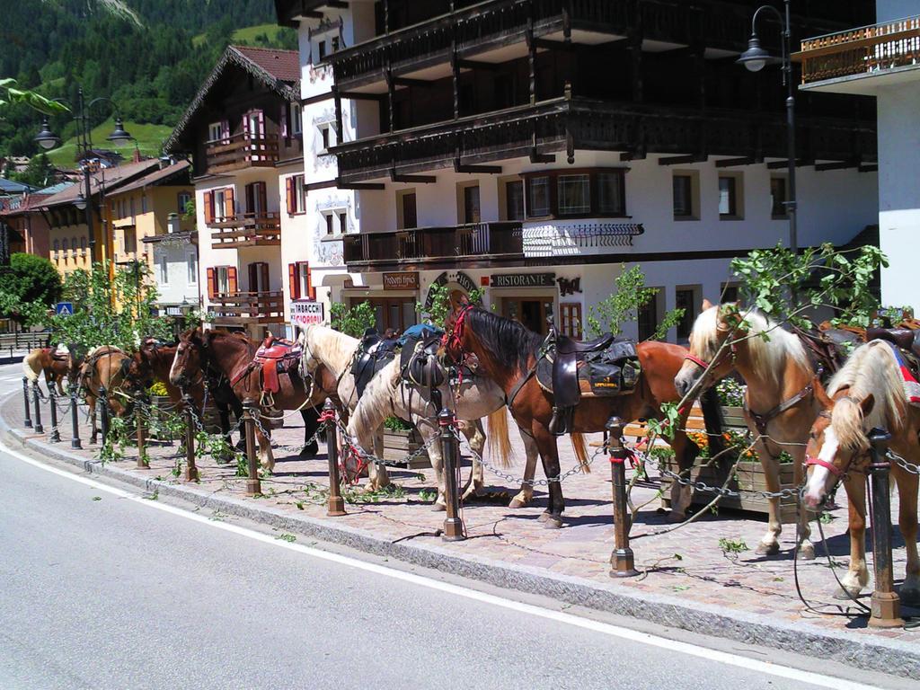 Post Hotel Ristorante Tyrol Moena Esterno foto